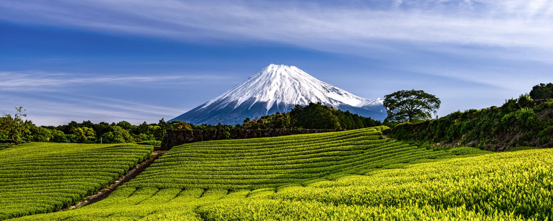 【日本 | BLOG】來靜岡縣 - 「認識富士山！」