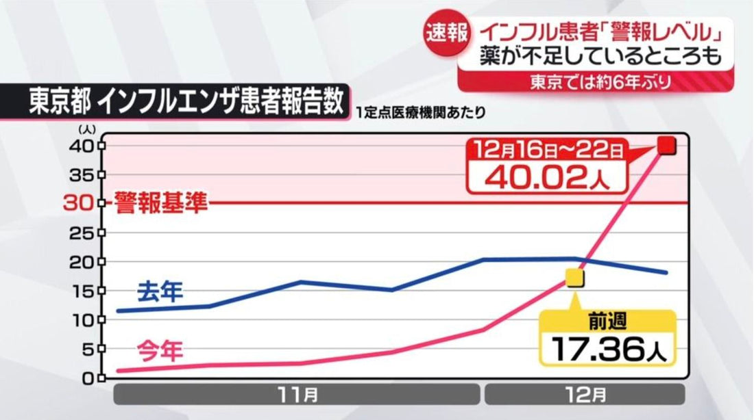 日本旅遊小貼士：如何在旅途中保持安全與健康