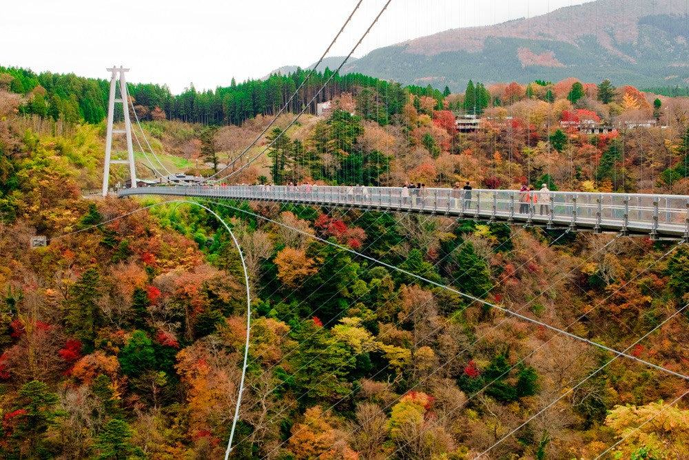 【日本 | BLOG】九州自由行攻略(下篇)🏞️🌋🕊️♨️🏯