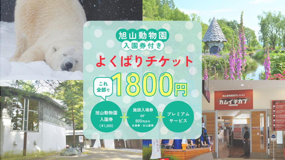 【日本 | 景點門票】北海道・旭川｜包含旭山動物園門票・超值組合票券｜即時預訂確認