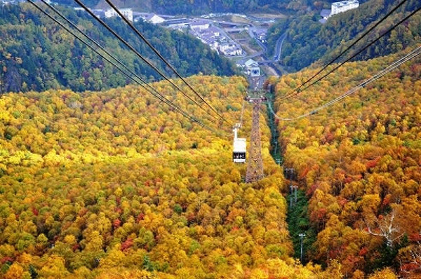 【日本 | 行程＆體驗】【2024年紅葉季】日本｜北海道賞紅葉｜大雪山國家公園 黑岳・銀泉台賞楓一日遊｜包含纜車體驗(札幌出發)