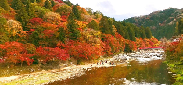 【日本 | 行程＆體驗】 日本・名古屋出發｜虎溪山永保寺香嵐溪櫻花楓葉一日遊｜虎溪山永保寺+豐田小原四季櫻節+香嵐溪｜中文司兼導遊