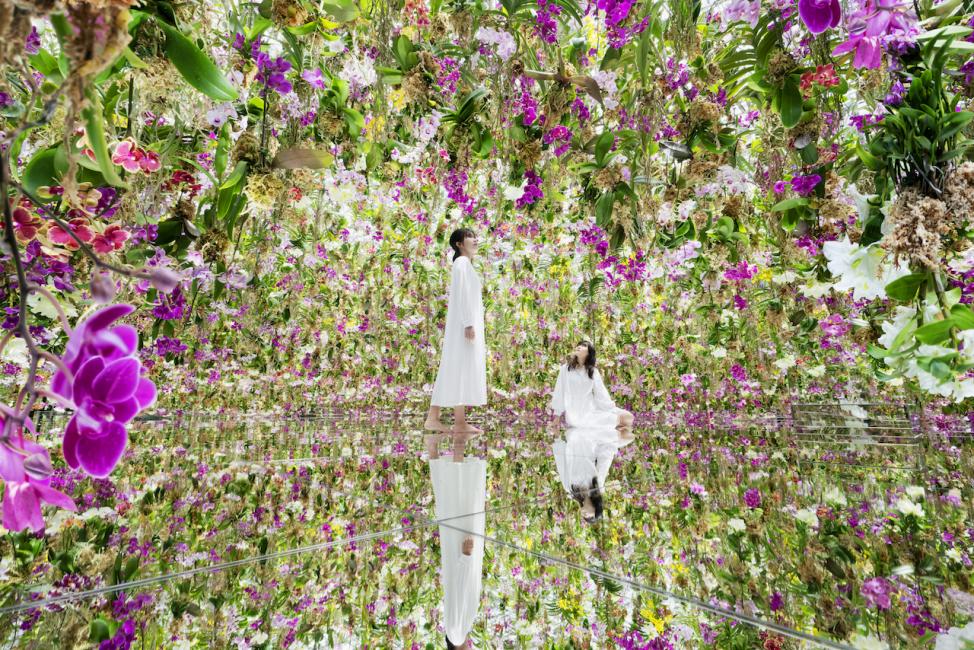 【日本 | 景點門票】日本東京｜豐洲新型態美術館門票 teamLab Planets TOKYO