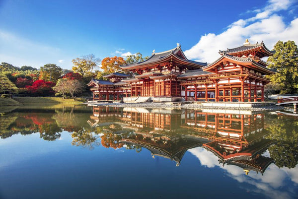 【日本 | 行程＆體驗】【紅葉一日遊】東福寺、平等院、長谷寺、奈良公園 貫穿染紅的首都街道的四場紅葉之旅（難波/梅田出發）