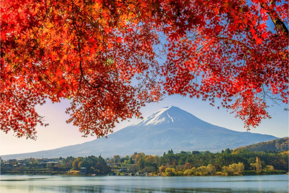 【日本 | 行程＆體驗】【山梨賞楓泡湯2日遊】富士山五合目＆河口湖紅葉祭＆「日本遺產」昇仙峽＆新倉山淺間公園＆蘋果・葡萄採摘吃到飽｜入住石和溫泉 新光｜新宿出發