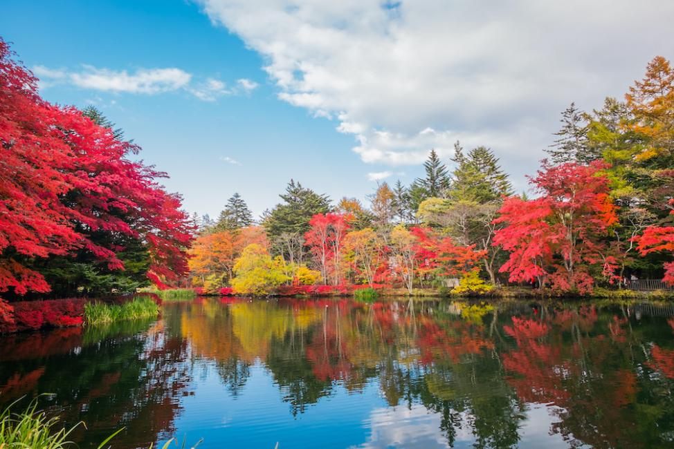 【日本 | 景點門票】【2024年紅葉季】日本輕井澤一日遊｜白系瀑布—雲場池—舊輕井澤銀座街道—輕井澤OUTLET｜新宿出發