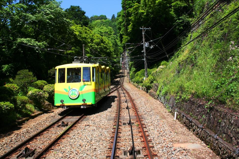 【日本 | 景點門票】東京交通票券｜京王線一日券＋高尾山纜車套票