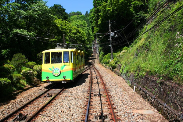 【日本 | 景點門票】東京交通票券｜京王線一日券＋高尾山纜車套票