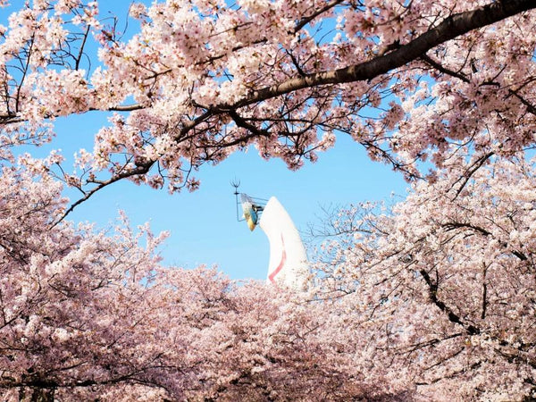 【日本 | 景點門票】大阪萬博紀念公園|自然文化花園門票