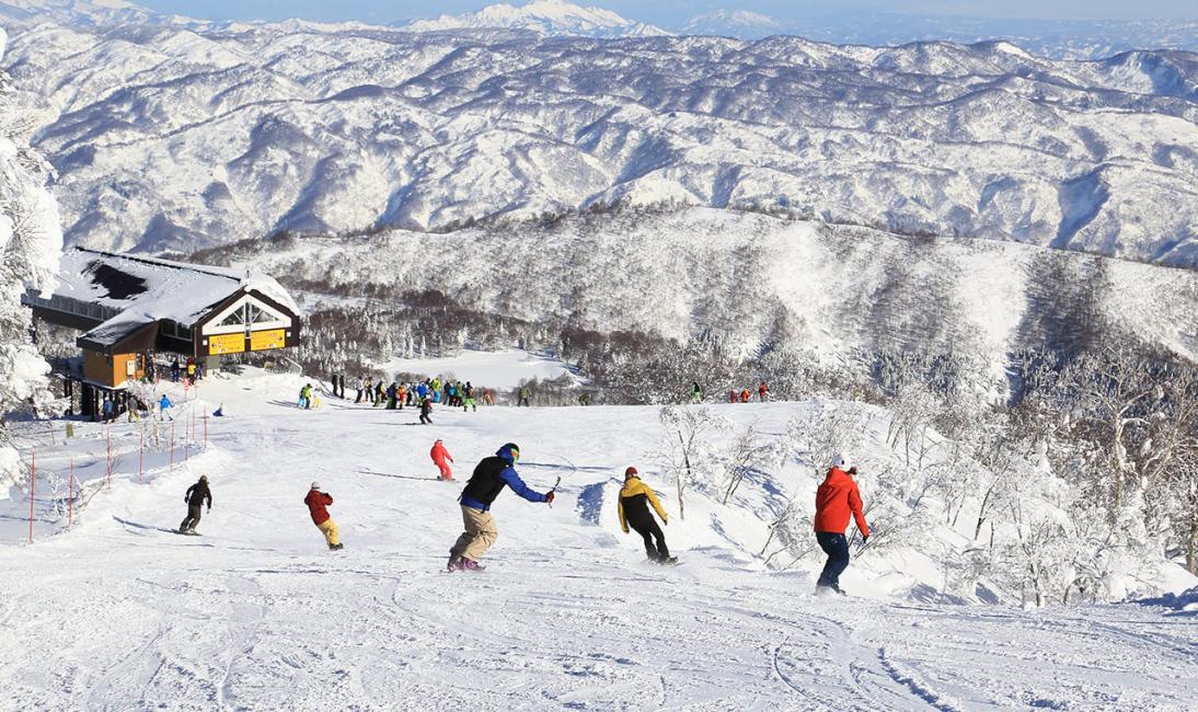 【日本| 行程＆體驗】【滑雪教練／日本全境滑雪場】替您媒合最專業的私人滑雪教練（1-5名的私人課程）｜中文教學（一日6小時）