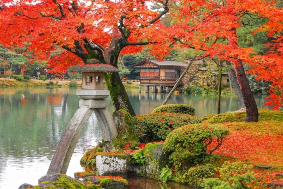 【日本 | 楓葉】黑部立山楓紅三日遊｜立山黑部阿爾卑斯山路線室堂紅葉＆上高地＆白川鄉合掌村＆飛騨高山古街＆兼六園＆近江町市場｜日本名古屋出發