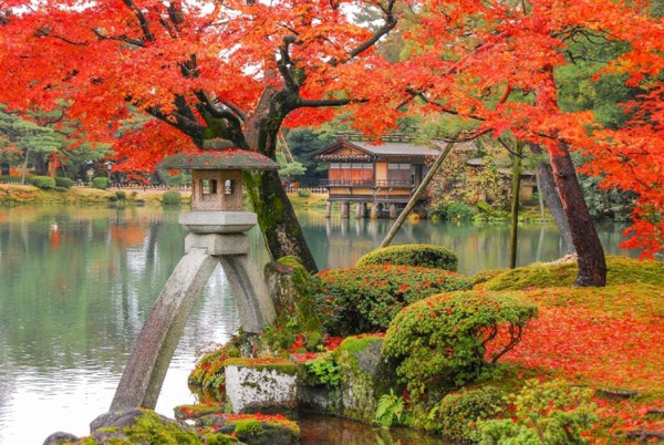 【日本 | 楓葉】黑部立山楓紅三日遊｜立山黑部阿爾卑斯山路線室堂紅葉＆上高地＆白川鄉合掌村＆飛騨高山古街＆兼六園＆近江町市場｜日本名古屋出發