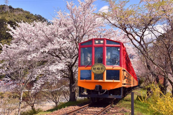 【日本 | 交通】日本京都｜嵐山・嵯峨野小火車單程票｜嵯峨ー龜岡區間