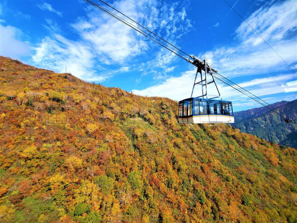 【日本 | 行程＆體驗】黑部立山楓紅三日遊｜立山黑部阿爾卑斯山路線室堂紅葉＆上高地＆白川鄉合掌村＆飛騨高山古街＆兼六園＆近江町市場｜日本名古屋出發