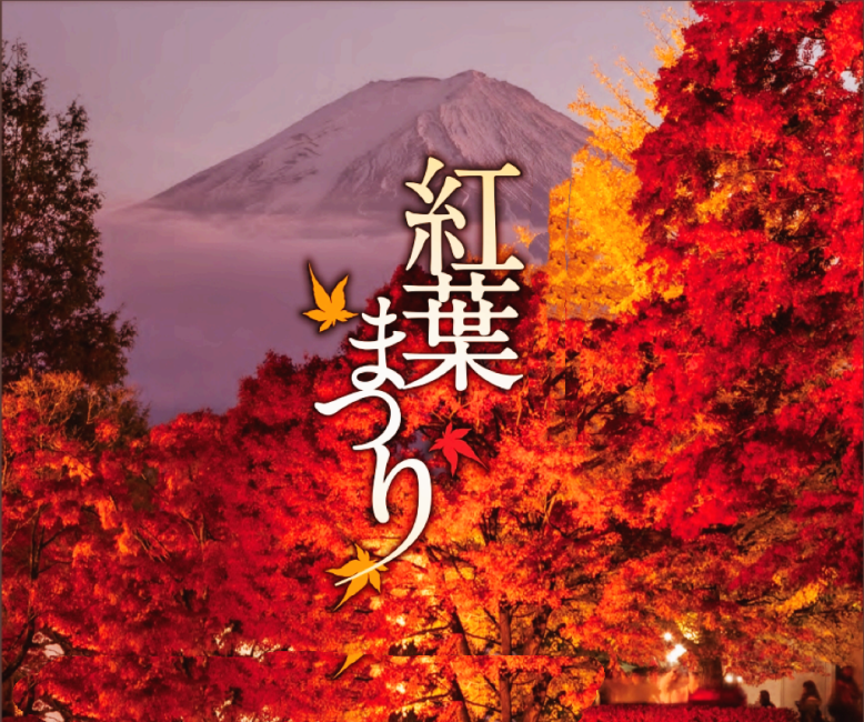 【日本 | 行程＆體驗】【期間限定2024富士河口湖紅葉祭燈】勝沼香草庭園旅日記&葡萄暢吃一日遊｜中文/英文導遊（新宿出發）