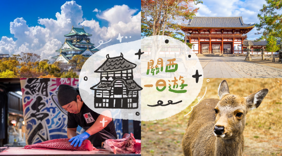 【日本 | 行程＆體驗】【2024年紅葉季】日本｜和歌山一日遊｜東大寺—奈良公園—黑潮市場｜大阪出發