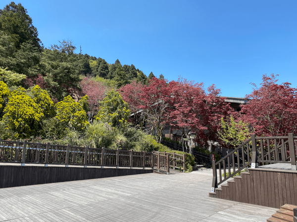 【台灣 | 景點門票】宜蘭｜太平山國家森林遊樂區門票